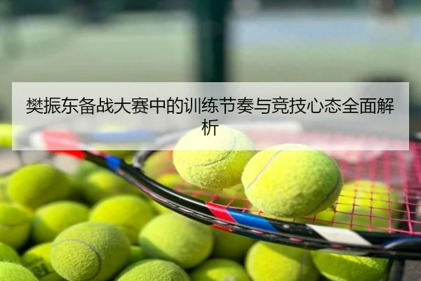 樊振东备战大赛中的训练节奏与竞技心态全面解析