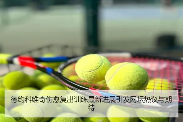 德约科维奇伤愈复出训练最新进展引发网坛热议与期待